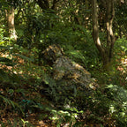 TWS Camouflage Hunting Suit